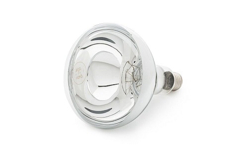 Dr Fischer Replacement Infrared Bulb IR150CH R125-90241511 Dr Fischer Replacement Infrared Bulb IR150CH R125-90241511