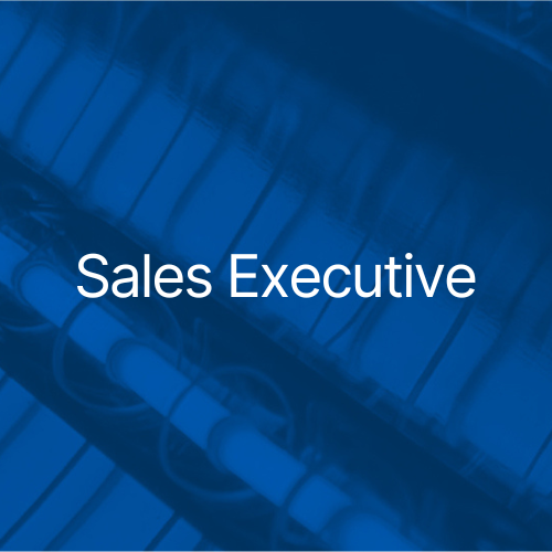 Sales Executive Victory Job